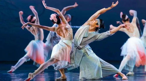 好戲 期待已久,飛上 春晚 的ta即將歸來